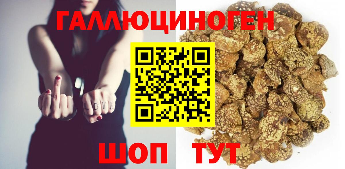 Галлюциногенные грибы Psilocybe Норильск