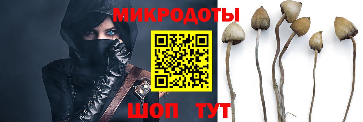 Норильск  Галлюциногенные грибы Cubensis  Псилоцибиновые грибы Psilocybe  Вход с VPN 